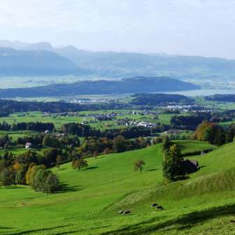 Blick vom Köbel