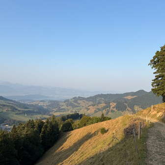 View cw