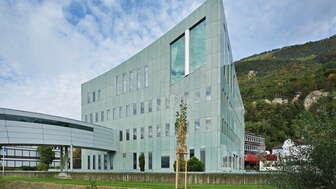 The Hollein Building
