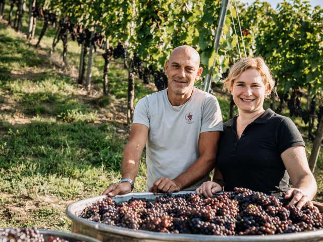 Haag Weine - Vinothek