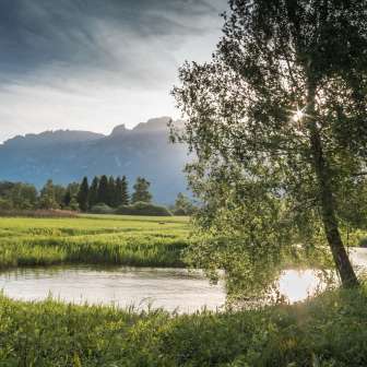 Ruggeller Riet Nature Reserve