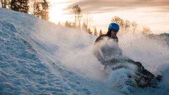 Tobogganing