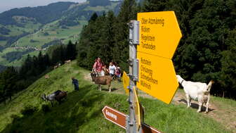 Bild von alter Webseite