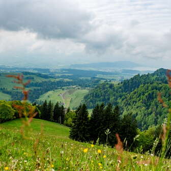 Aussicht