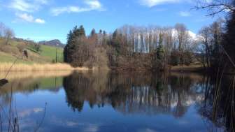 Siessenweiher