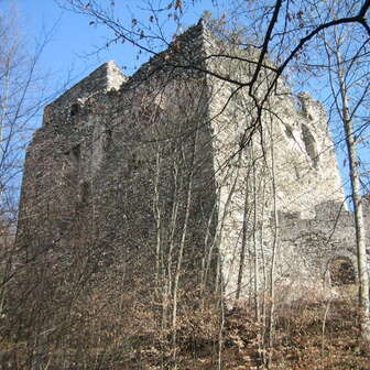 Burganlage Neu-Aspermont