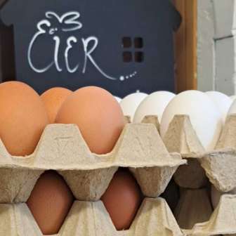 Eggs