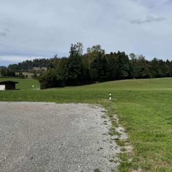 Aussicht Richtung Wald