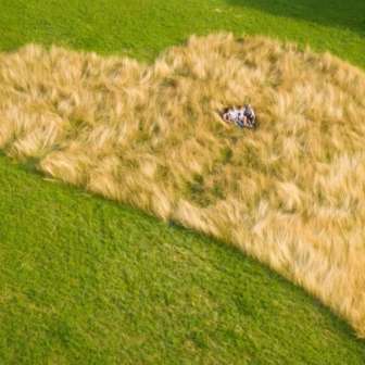 Heart on field