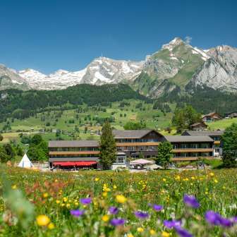 Aussenansicht Sommer