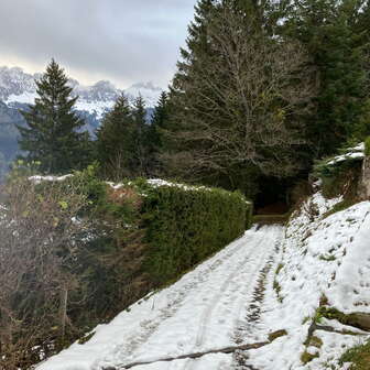 Chalet Schwendihus