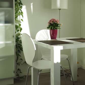 Ferienwohnung «Bächlegatter»