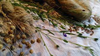 Garnhandwärch: flax