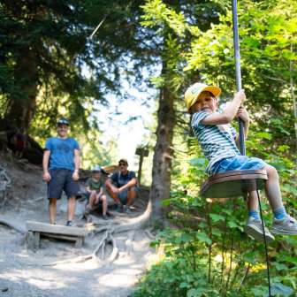 Riesenwald Elm Zipline