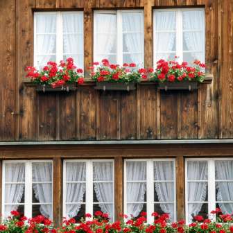 Ausschnitt Bauernhaus Bürg