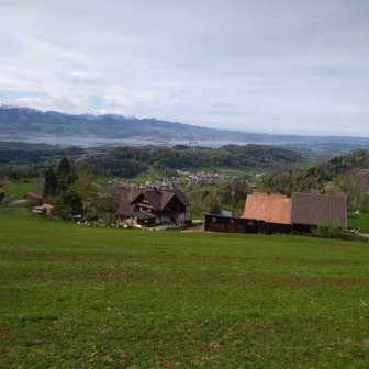 Bio-Bergbauernhof Raimann
