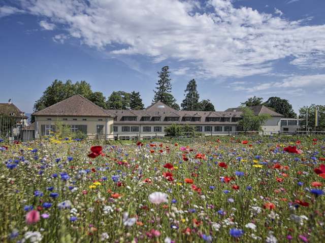 Arenenberger Gartenwelt