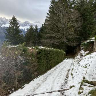 Chalet Schwendihus